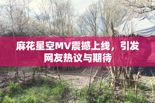 麻花星空MV震撼上线，引发网友热议与期待