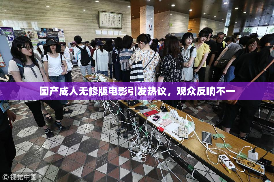 国产成人无修版电影引发热议，观众反响不一