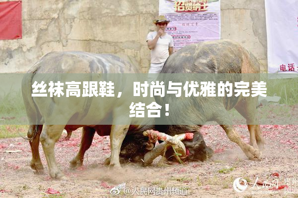 丝袜高跟鞋，时尚与优雅的完美结合！