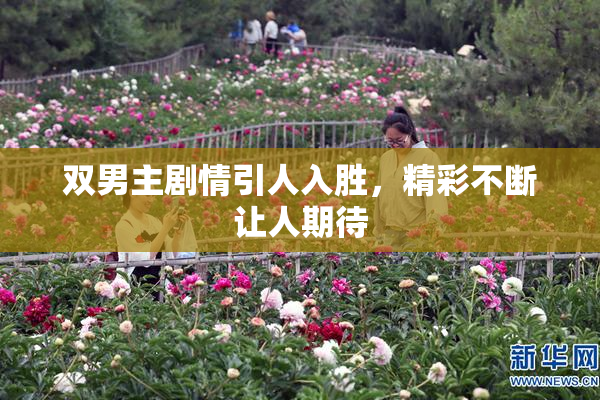 双男主剧情引人入胜，精彩不断让人期待