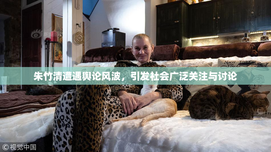 朱竹清遭遇舆论风波，引发社会广泛关注与讨论