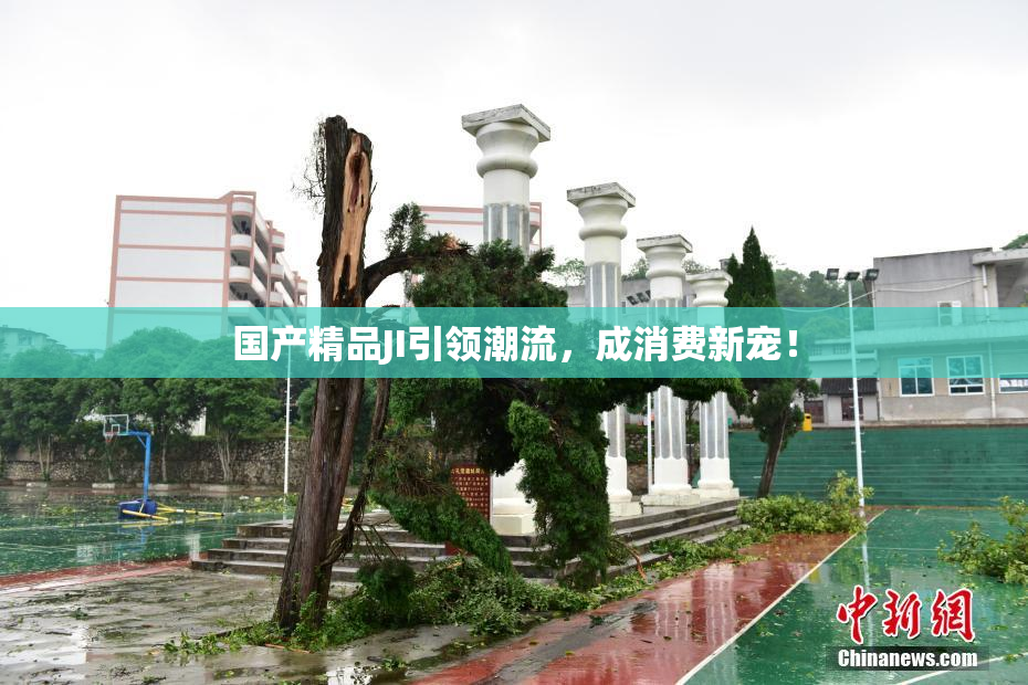 国产精品JI引领潮流，成消费新宠！