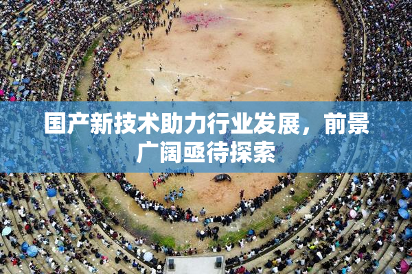 国产新技术助力行业发展，前景广阔亟待探索
