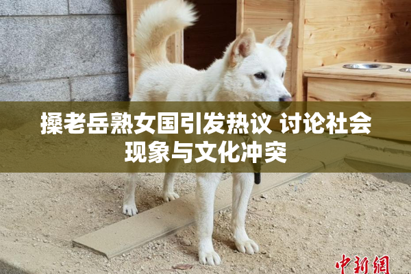 搡老岳熟女国引发热议 讨论社会现象与文化冲突