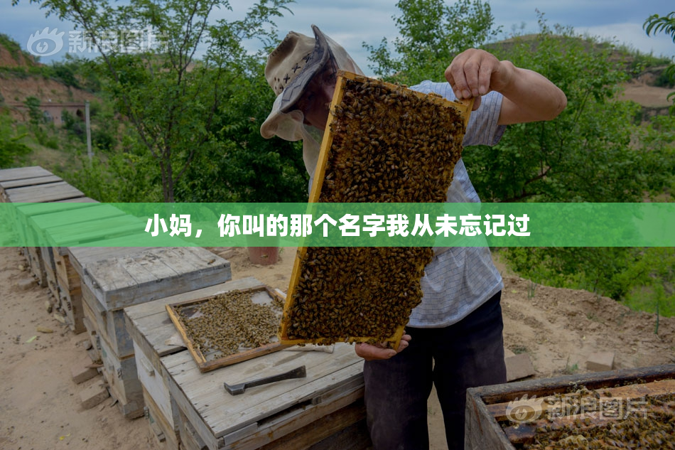 小妈，你叫的那个名字我从未忘记过