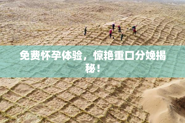 免费怀孕体验，惊艳重口分娩揭秘！