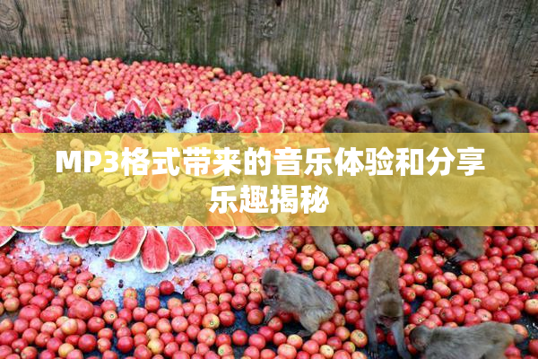 MP3格式带来的音乐体验和分享乐趣揭秘