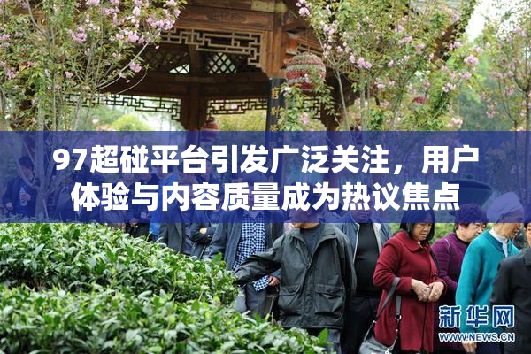 97超碰平台引发广泛关注，用户体验与内容质量成为热议焦点