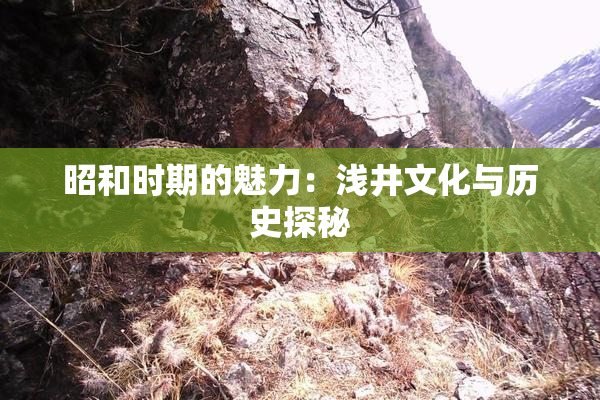 昭和时期的魅力：浅井文化与历史探秘