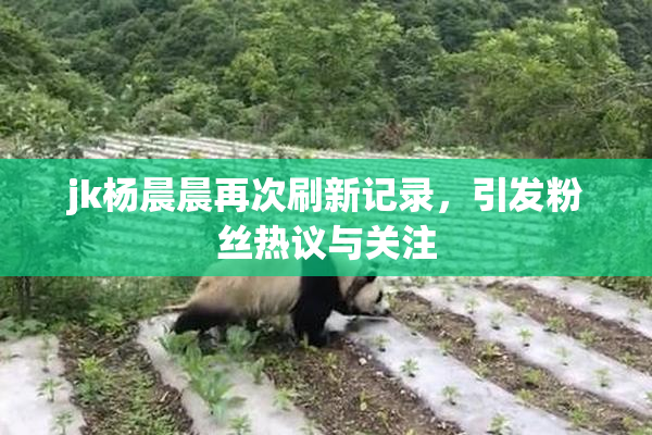 jk杨晨晨再次刷新记录，引发粉丝热议与关注