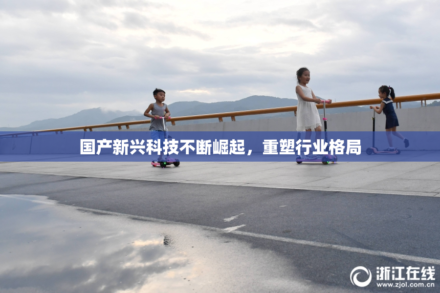 国产新兴科技不断崛起，重塑行业格局