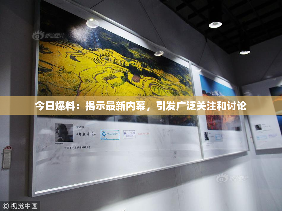 今日爆料：揭示最新内幕，引发广泛关注和讨论