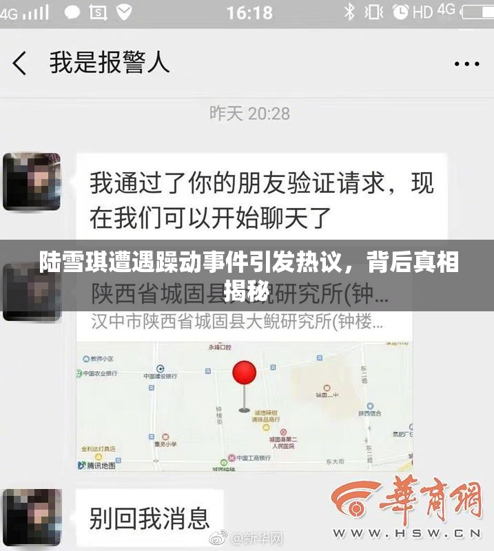 陆雪琪遭遇躁动事件引发热议，背后真相揭秘