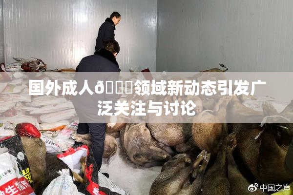 国外成人🔞领域新动态引发广泛关注与讨论