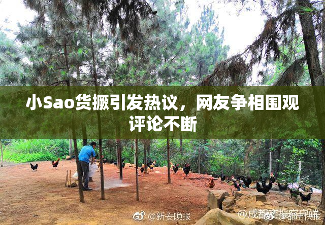 小Sao货撅引发热议，网友争相围观评论不断