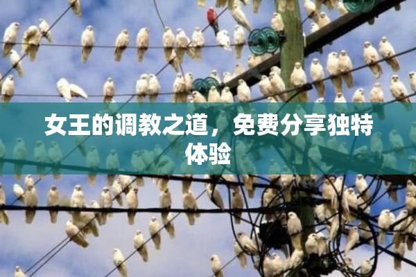 女王的调教之道，免费分享独特体验