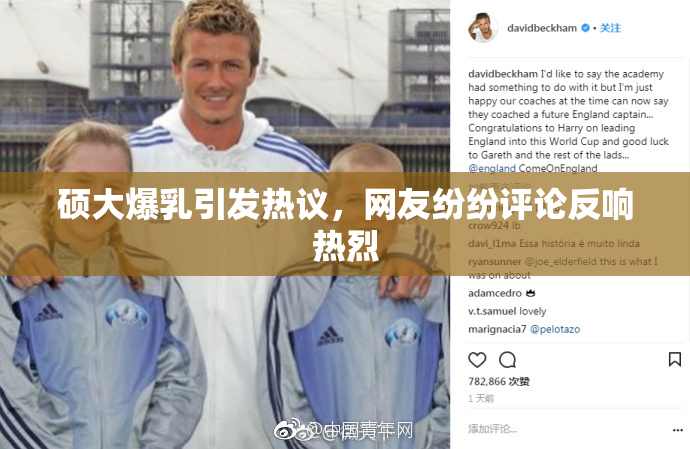 硕大爆乳引发热议，网友纷纷评论反响热烈
