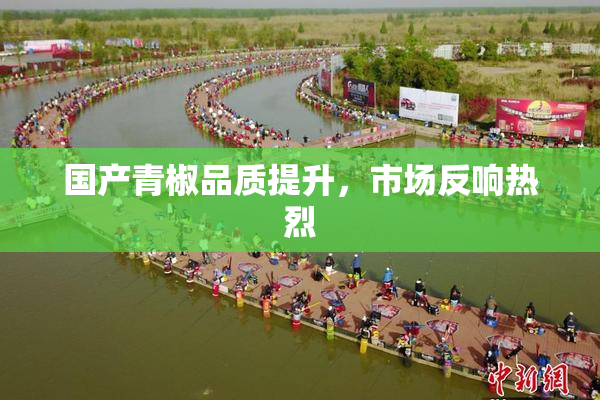 国产青椒品质提升，市场反响热烈