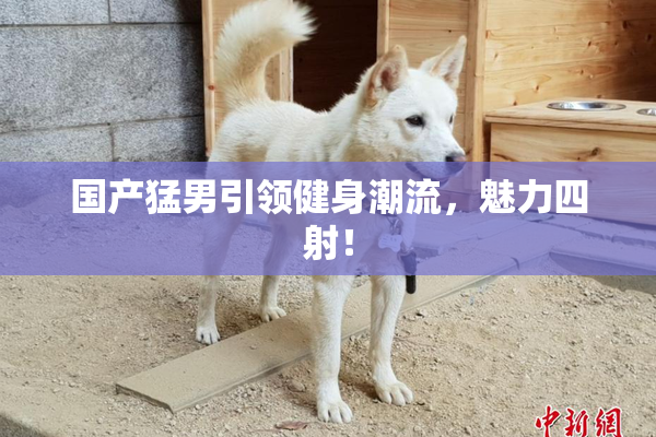 国产猛男引领健身潮流，魅力四射！