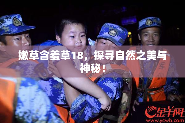 嫩草含羞草18，探寻自然之美与神秘！