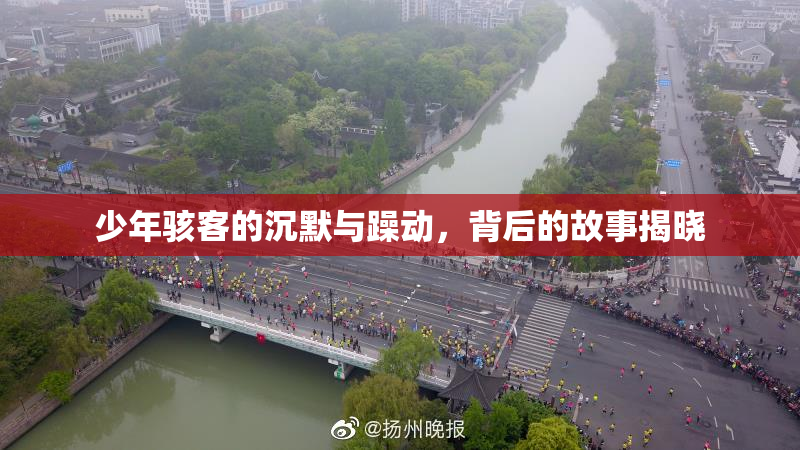 少年骇客的沉默与躁动，背后的故事揭晓