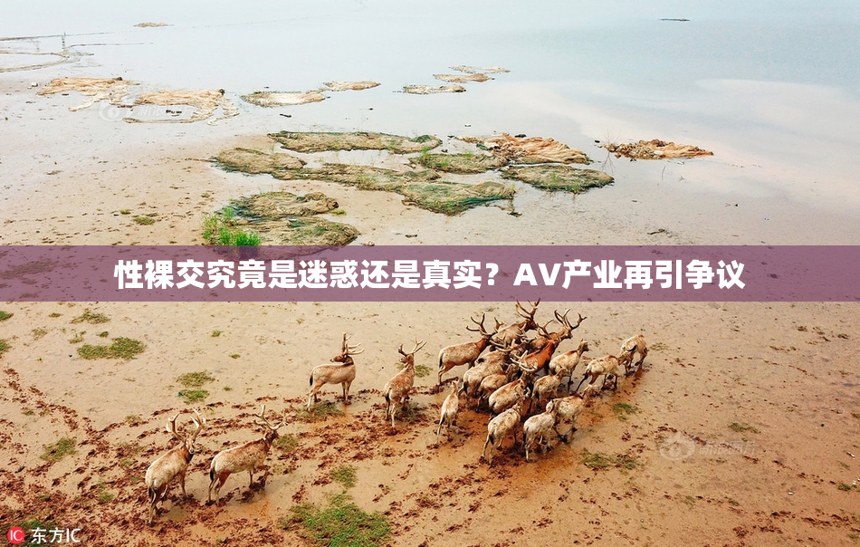 性裸交究竟是迷惑还是真实？AV产业再引争议