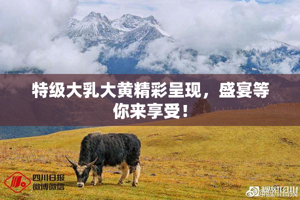 特级大乳大黄精彩呈现，盛宴等你来享受！