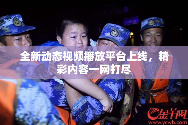 全新动态视频播放平台上线，精彩内容一网打尽