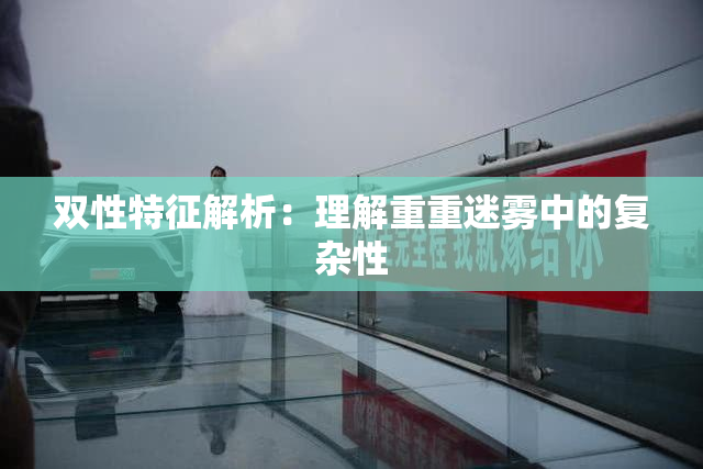双性特征解析：理解重重迷雾中的复杂性