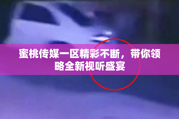 蜜桃传媒一区精彩不断，带你领略全新视听盛宴