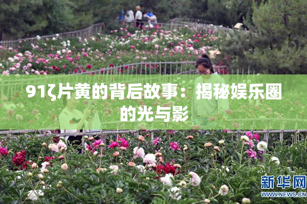 91ζ片黄的背后故事：揭秘娱乐圈的光与影