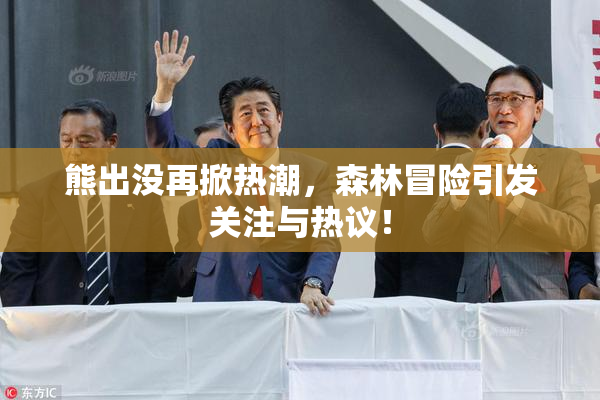 熊出没再掀热潮，森林冒险引发关注与热议！