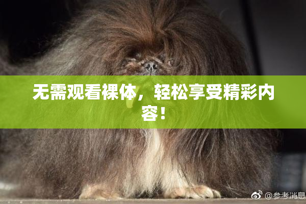 无需观看裸体，轻松享受精彩内容！