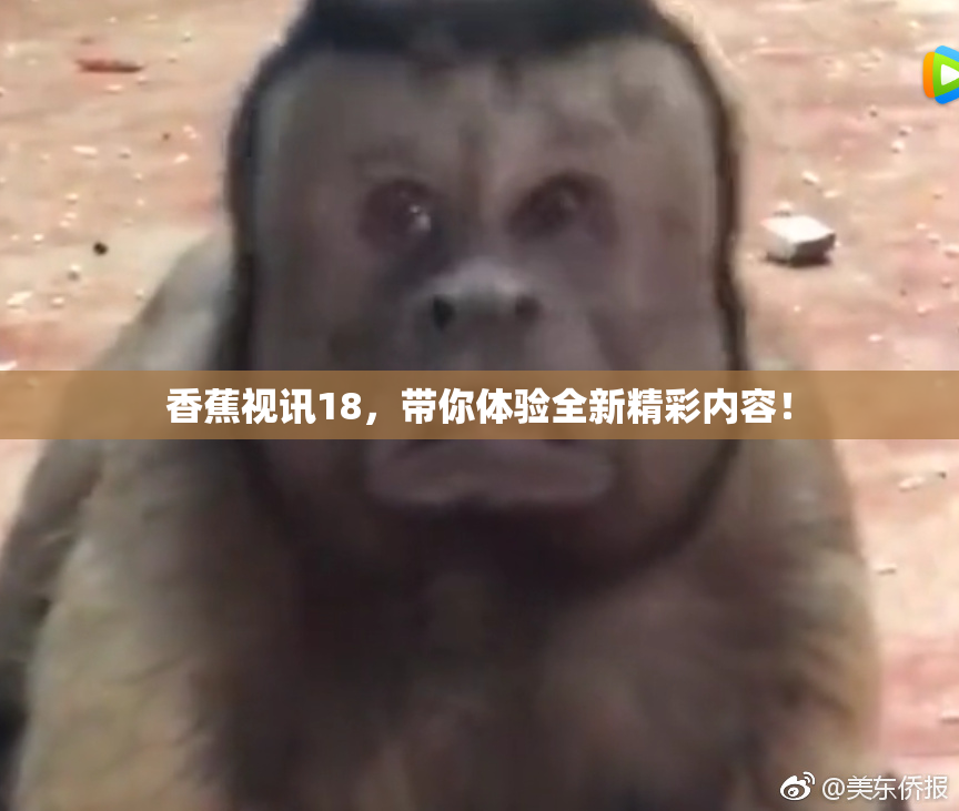 香蕉视讯18，带你体验全新精彩内容！