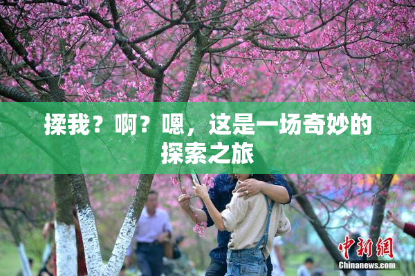 揉我？啊？嗯，这是一场奇妙的探索之旅
