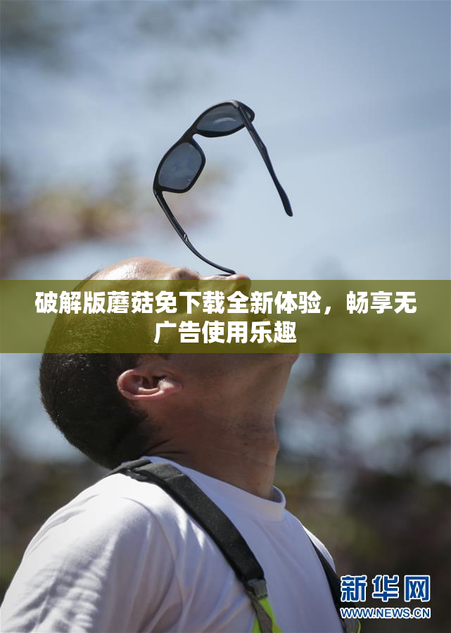 破解版蘑菇免下载全新体验，畅享无广告使用乐趣