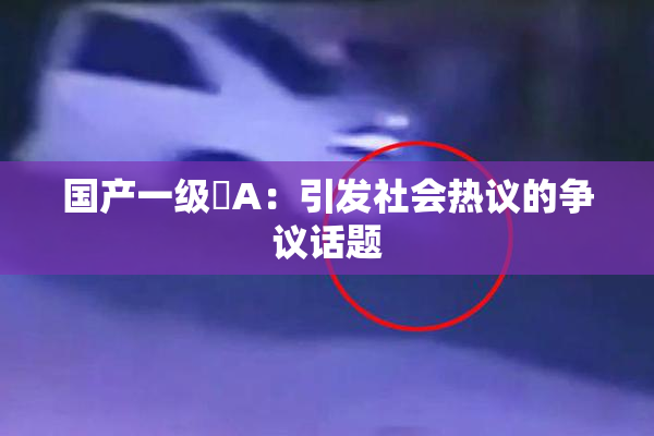 国产一级婬A：引发社会热议的争议话题