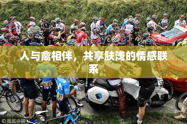 人与禽相伴，共享肤浅的情感联系