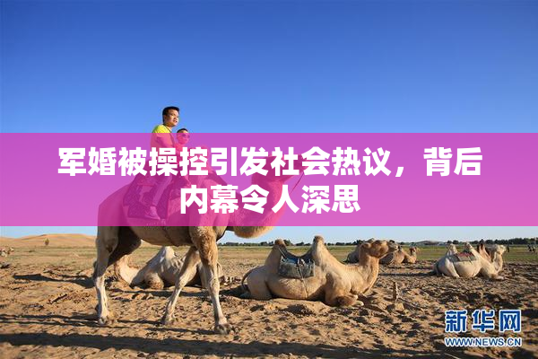 军婚被操控引发社会热议，背后内幕令人深思