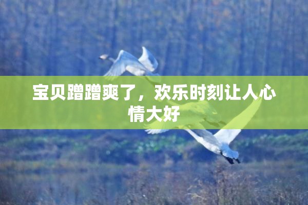 宝贝蹭蹭爽了，欢乐时刻让人心情大好