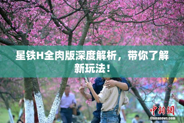 星铁H全肉版深度解析，带你了解新玩法！