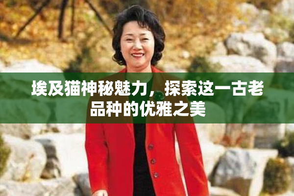 埃及猫神秘魅力，探索这一古老品种的优雅之美