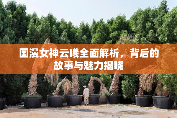 国漫女神云曦全面解析，背后的故事与魅力揭晓