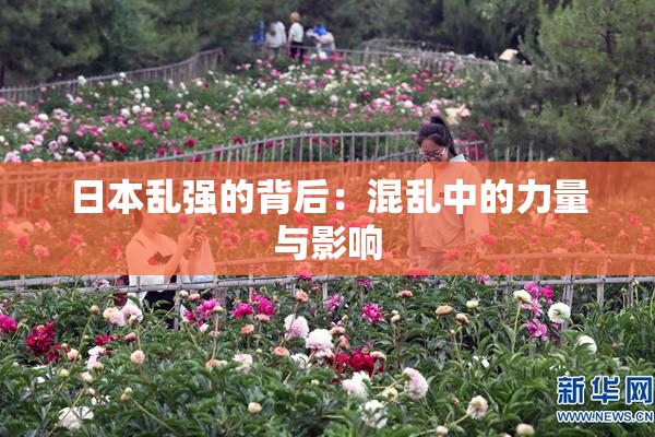 日本乱强的背后：混乱中的力量与影响
