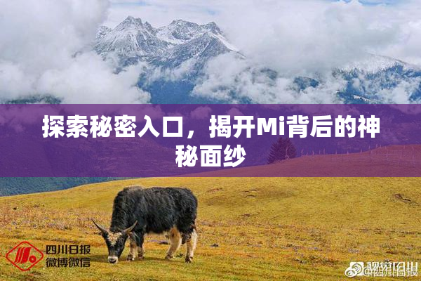 探索秘密入口，揭开Mi背后的神秘面纱