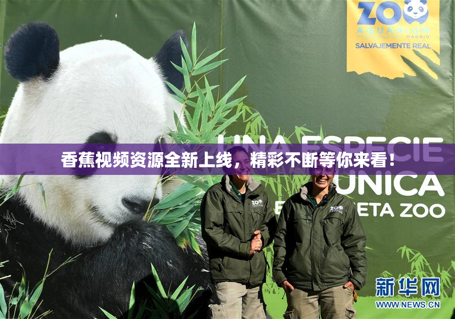 香蕉视频资源全新上线，精彩不断等你来看！