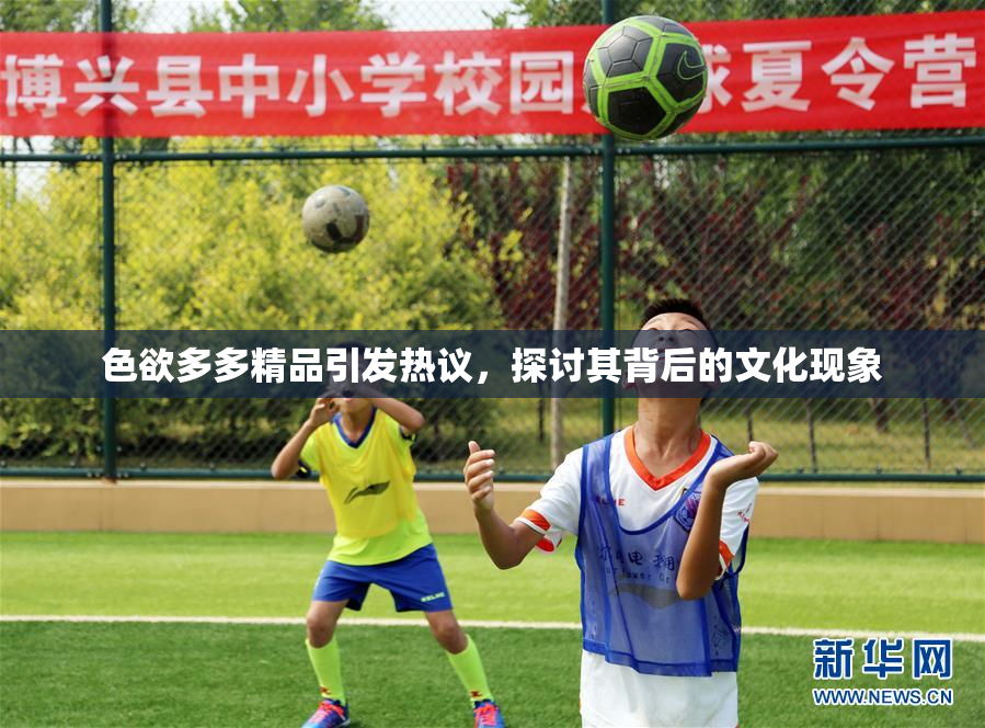 色欲多多精品引发热议，探讨其背后的文化现象