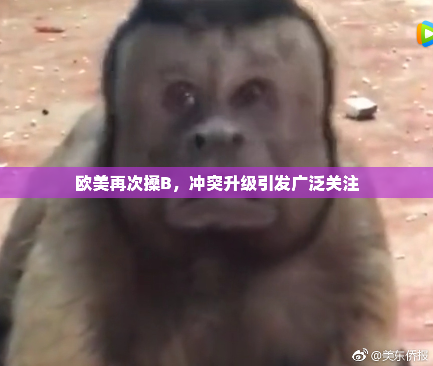 欧美再次搡B，冲突升级引发广泛关注