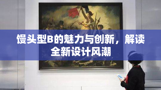 馒头型B的魅力与创新，解读全新设计风潮