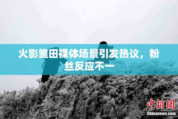 火影雏田裸体场景引发热议，粉丝反应不一